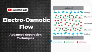 ElectroOsmotic Flow  Capillary Electrophoresis  Separation Techniques CHM603  UrduHindi Lecture [upl. by Pelagia502]