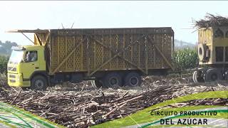 Circuito productivo del azúcar para niños de 1° a 3° grado [upl. by Duke]