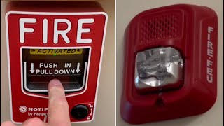 School fire alarm testing a new notifier fully addressable system [upl. by Aeli678]