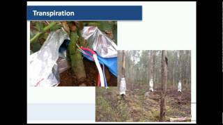 Forestry Talks Water use of Eucalyptus Nitens plantations in the Florentine Valley  Sandra Roberts [upl. by See661]