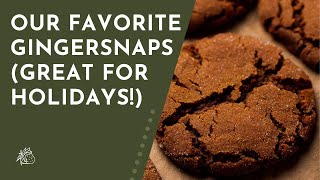 Our Favorite Gingersnap Cookies [upl. by Moraj725]