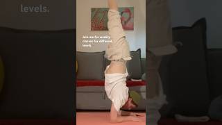 HATHA YOGA EVERYDAY yoga [upl. by Derrek]