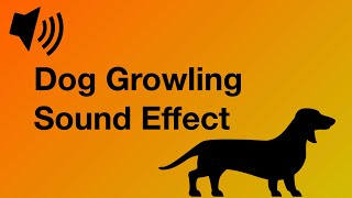 Dog Growling  Hundeknurren  Sound Effect 4K [upl. by Manoop122]