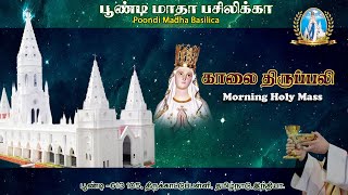 10112024  0800 AM  Holy Mass in Tamil  Fr Arul MSFS Spiritual Father Poondi Madha Basilica [upl. by Ardnat]