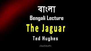 The Jaguar by Ted Hughes  বাংলা লেকচার  Bengali Lecture [upl. by Straub]