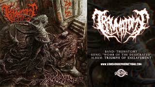 Traumatomy  Womb Of The Desecrated Official Track [upl. by Dor]