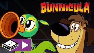 Bunnicula  The Annoying Musical Bird Monster  Boomerang UK 🇬🇧 [upl. by Fuld]