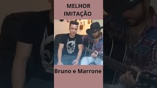 MELHOR IMITAÇÃO DE BRUNO E MARRONE shorts subscribe [upl. by Retsila]