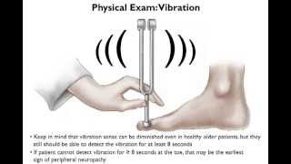 Brief Physical Examination for Peripheral Neuropathy [upl. by Intihw872]