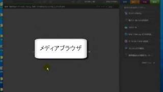 Photoshop Elements 8 Organizer 画面まわり [upl. by Atsyrk]