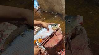 Amazing Carp Fish Cutting Skills In Bangladesh Fish Market By Expert Cutter shorts [upl. by Landrum]