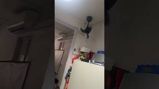 Corner fan turn on With smart siren music [upl. by Kaya]