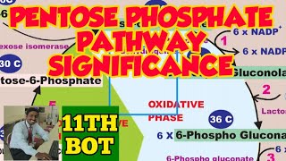 PENTOSE PHOSPHATE PATHWAY SIGNIFICANCE  TAMIL  PLANT PHYSIOLOGY  RESPIRATION IM PLANTS  STD 11 [upl. by Itsrik484]