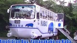 【Tokyo東京】Amphibious bus SKYDUCK in ODAIBA With Olympic monument～水陸両用バス SKYDUCK、お台場で五輪モニュメントのそばへダイブ～ [upl. by Ayaladnot217]