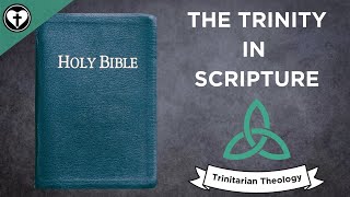 A Biblical Explanation of the Trinity Intro to Trinitarian Theology [upl. by Nivrehs]