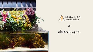 Macroalgae Paludarium  Mizukusa Wall 60 Plant Selection and Tutorial [upl. by Aifas314]