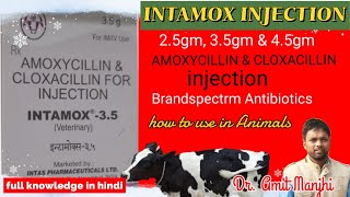 Amoxicillin amp Cloxacillin Injection intamox 25gm35gm45 gm   Manjhi Veterinary [upl. by Nolyk]