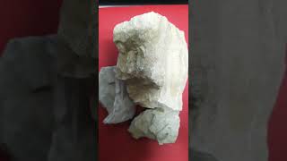 Rocas de calizas rocas sedimentarias mineralesnaturales youtubeshorts mineralogia mineral [upl. by Yale760]