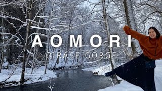 AOMORI ・TOHOKU🇯🇵 Oirase Gorge in Winter❄️ Stay at Oirase Keiryu Hotel Japan travel vlog [upl. by Auqinehs235]