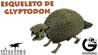 Esqueleto de Glyptodon Geoworld [upl. by Furnary70]