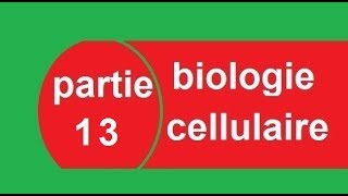 cours biologie cellulaire partie 13 Transcription  البيولوجيا بالدارجة [upl. by Jeramie22]