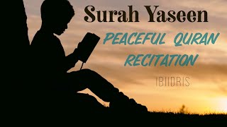 Quran recitation for sleep  Surah Yaseen  with English translations [upl. by Mcclelland]