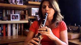 Denise plays Petite Fleur on clarinet  new version 2010 [upl. by Aiuqenehs94]