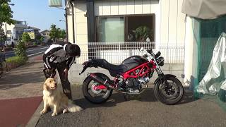 VTR250BSTYLE洗練された250cc走行距離3540km [upl. by Eitsirhc]