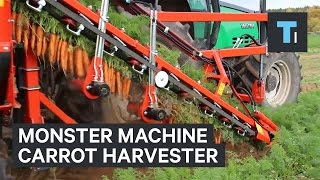 This monster machine is the ultimate carrot harvester [upl. by Pass154]