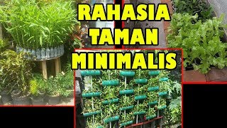 TIS Cara Tanam Lahan Sempit Untung Selangit SawiCabeTomatTerong Growing Plant in Small Garden [upl. by Aihsatal]