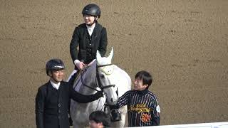 【佐賀記念2024】本馬場入場 誘導馬とともに佐藤哲三さんも誘導‼ 現地映像 ノットゥルノ [upl. by Misab]