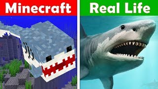 MINECRAFT SHARK ATTACK IN REAL LIFE Minecraft vs Real Life animation [upl. by Airdnazxela589]