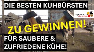 DIE BESTEN KUHBÜRSTEN FÜR SAUBERE UND ZUFRIEDENE KÜHE [upl. by Lasky]