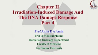 Basic Clinical Radiobiology Chapter 2 Lecture 4 [upl. by Atnima]