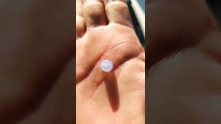 38ct baby blue Ellensburg blue agate for sale [upl. by Aspasia914]