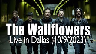 The Wallflowers  Highlights LIVE  1092023 [upl. by Zweig]