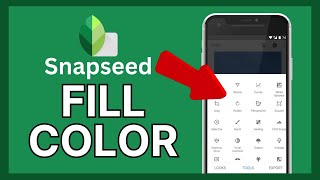 How to Fill Color in Snapseed 2024 [upl. by Boyd]