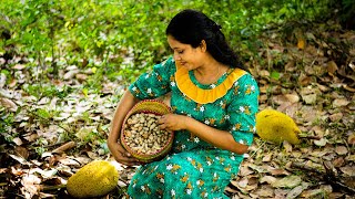 Jackfruit Seeds  Making Jackfruit flour amp converted to cookies  Biscuits  Pulasi Village Life [upl. by Vern691]