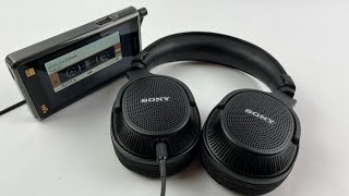 Incredible Performance amp Value Sony MDRMV1 Openback Headphones [upl. by Aelak]