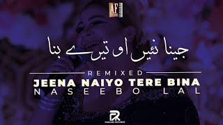 Jeena Naiyo Tere Bina  Naseebo Lal  Disco Remix  2024 [upl. by Philpot]