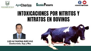 ✅ Intoxicaciones por nitritos y nitratos en bovinos [upl. by Riba]