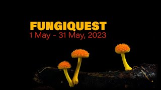 Fungi Quest 2023 [upl. by Tdnarb19]