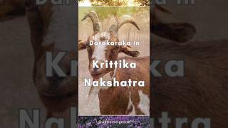 Darakaraka in Krittika Nakshatra ✨🌠 darakaraka nakshatra astrology spouseprediction krittika [upl. by Llenhoj]