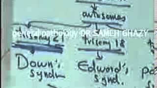 general pathology 27  DR SAMEH GHAZY geneticirradiationvitamin [upl. by Pietro]