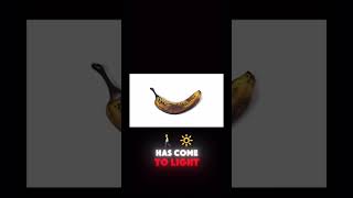 Rotting banana timelapse timelapes willferrell doublelife [upl. by Balduin]