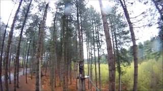 Go Ape Delamere [upl. by Odrautse]