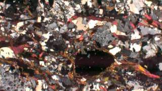 Garnet biotite muscovite schist XP [upl. by Forlini506]