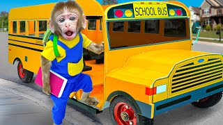 KiKi Monkey tries to catch Magic School Bus in time  KUDO ANIMAL KIKI [upl. by Ackerman]