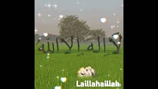 Laillahaillah [upl. by Karoly660]