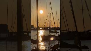 Sunset trieste barcolana italy viralvideo video viralvideos amazing sailing [upl. by Nnylatsirk21]